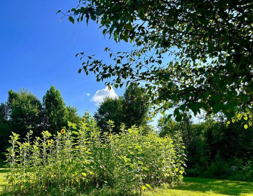 #4 Kentucky Bourbon Trail Bourbon Barrel Cottages Lawrenceburg المظهر الخارجي الصورة